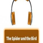 پادکست ۲۸                                                   The Spider and the Bird